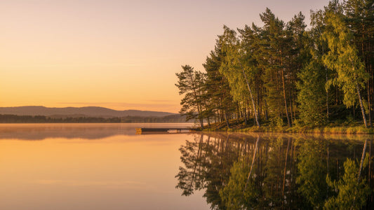 Minnesota lake at golden hour with pine and birch trees, home of the BullRing design team
